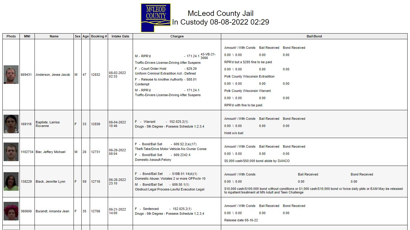 Custody - McLeod County, Minnesota